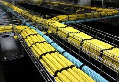 �M(j��n)�оW(w��ng)�j(lu��)����(xi��n)�ă�(y��u)��(sh��)����Щ